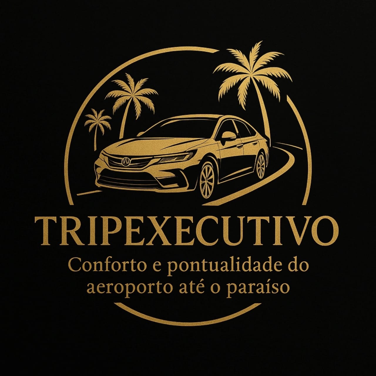 Trip Executivo – Transfer aeroporto e passeios